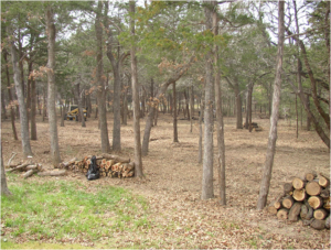 lot clearing services